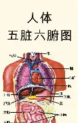 哈兰德将于8月16日打赛后发声(哈兰德将于8月16日打赛后发声的球员)