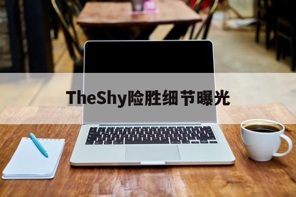 TheShy险胜细节曝光(theshy所有名场面视频)|游戏入口网站